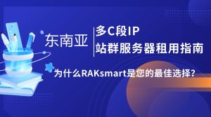 东南亚多C段IP站群服务器租用指南：为什么RAKsmart是您的最佳选择？