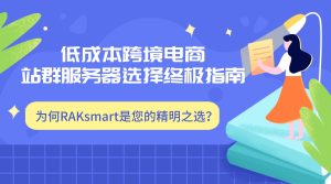 低成本跨境电商站群服务器选择终极指南：为何RAKsmart是您的精明之选？