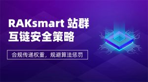 RAKsmart 站群互链安全策略：合规传递权重，规避算法惩罚