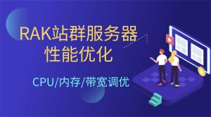 RAK站群服务器性能优化：CPU/内存/带宽调优